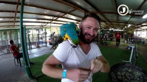 Parrot farm, Kfar Hess 4K