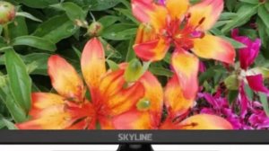 Отзыв на телевизор для небольших помещений SkyLine 22LT5900 22 дюйма своих денег стоит