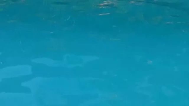 Sony Handycam HDR-CX230 Review смотреть онлайн