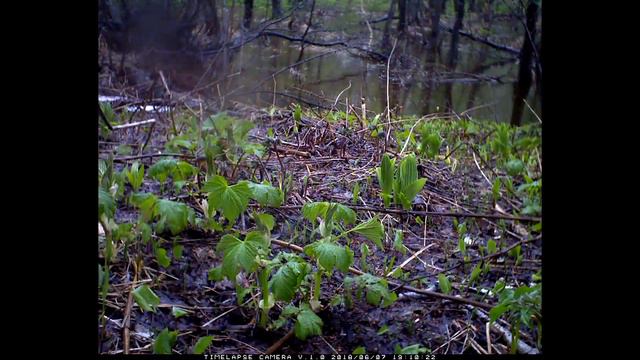 paratunka june2018 смотреть онлайн