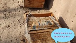 26. Асал ари оиласига кишда канди бериш. Asal ari oilasiga qandi berish. Asal ari, asal, kandi.