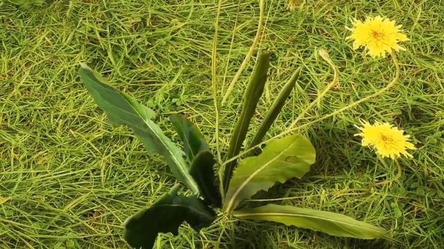 Rtx Texture Pack Mcpe 1.19 | Rtx Texture Pack Minecraft Pe 1.19 | rtx mcpe 1.19+ смотреть онлайн