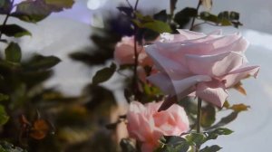 Җилфер җилфер җил искәндә....Венер Кутдусов.