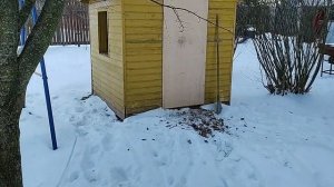 Новая утка Бегунок. Индийский бегунок