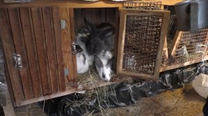 Обзор по хозяйству на 12 октября 2020 года