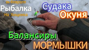 Диалоги О РЫБАЛКЕ 24 февраля Ловим Хищную рыбу Судака Окуня Щуку ГУСТЕРА Плотву на Балансиры Мормышк