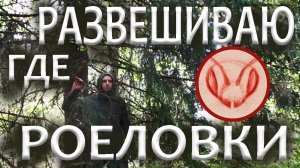 Выбор места для установки безрамочной ловушки на бродячие рои. Ловушкам по несколько лет