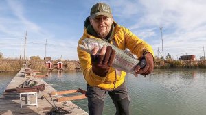 Ловим форель на платнике | Нахлыст | Форелевые стримеры | Удачный улов