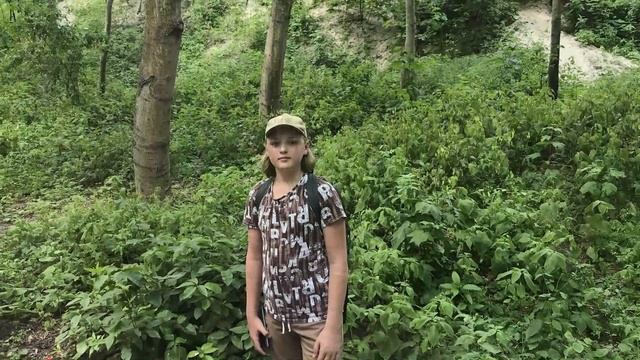 Зеленоградск и Светлогорск - города на Балтике в Калининградской области. Июль 2022. смотреть онлайн