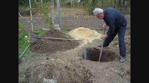Планировка виноградника и посадка виноградного саженца