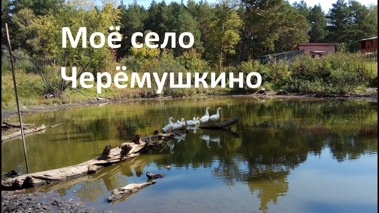 Моё село Черёмушкино