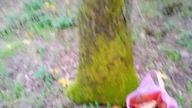 23 сентября 2021 г. смотреть онлайн