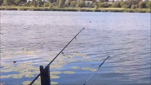 Ловля леща в октябре - где, на что и как ловить леща