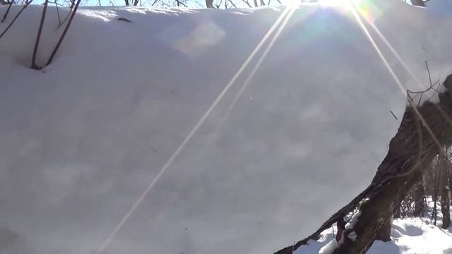 11 марта 2017 / всё ещё зима, горы снега, снегири, белки, вороны гоняют орлика смотреть онлайн