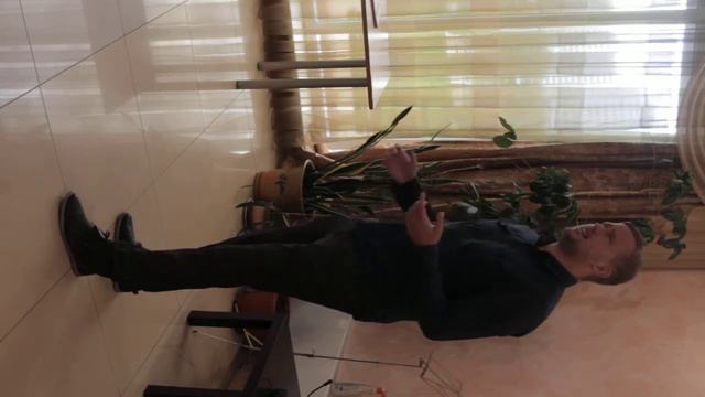 Алексей Дойницын - Там где клен шумит смотреть онлайн