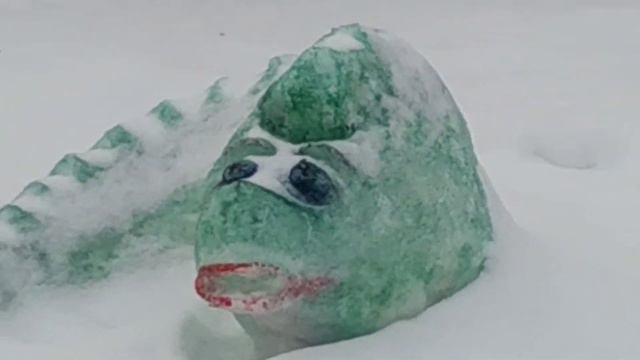 зима,снегири,синички