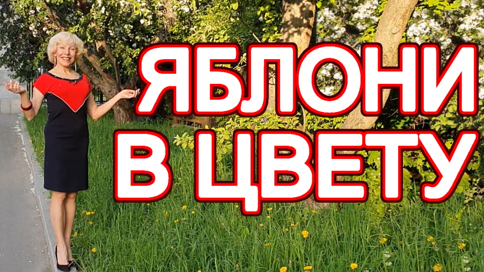 "Яблони в цвету" Ирина Зорина-Заря читает свои стихи