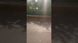 Поездка на троллейбусе 164 маршрут 6 Краснодар @TrollebusAvtobusKrasnodar @Runekatrans