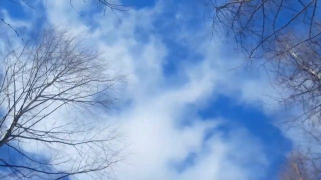 Крапива жалит грустная , но красивая песня о прошедшей любви об ушедшем смотреть онлайн