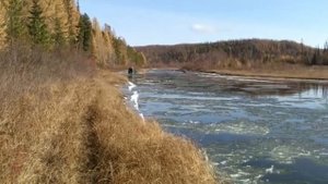 Рыбалка в Красноярском крае - река Чиримба 2016