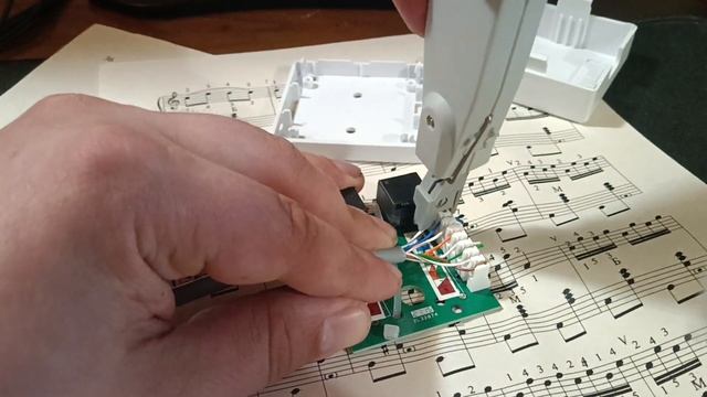 Подключение кабеля интернет к розетке.