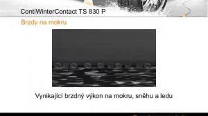 Зимние шины в Молдове - Continental ContiWinterContact™ TS 830 P