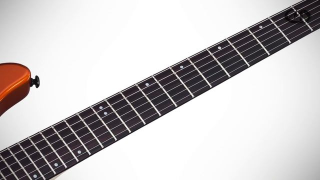SCHECTER SUPER SHREDDER FR LOR смотреть онлайн