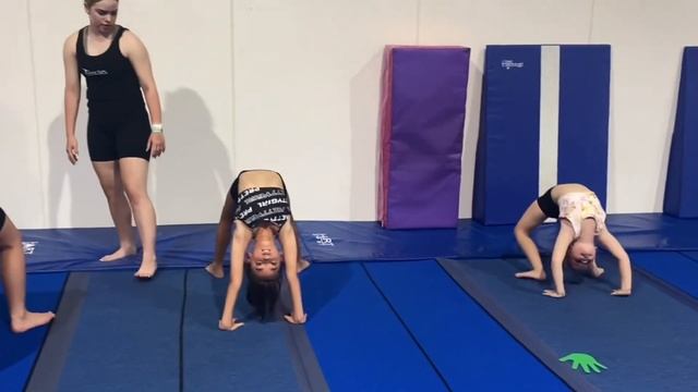 Walkovers Class 12/12/22 смотреть онлайн