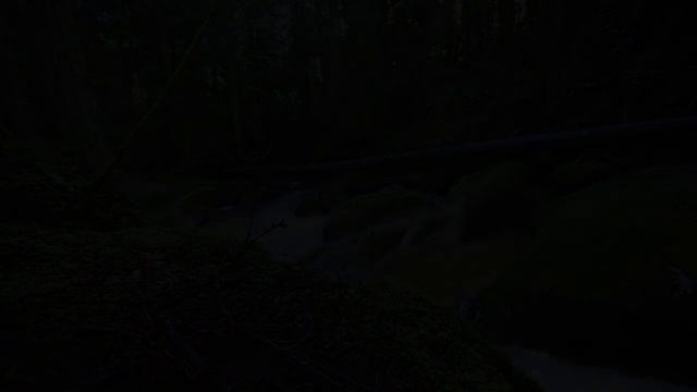 Baba Nam Kevalam - Green by Soja смотреть онлайн