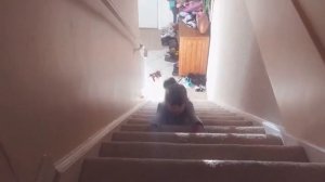 ВИДЕОПРИКОЛЫ Прикол  Ребёнок упал с лестницы!!! the child fell down the stairs