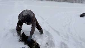 Самодельные жерлица на щуку из пластиковой бутылки и шланга переловили заводские.