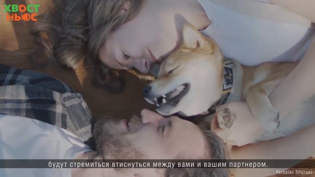 Что означает поза, в которой питомец спит вместе с вами? смотреть онлайн