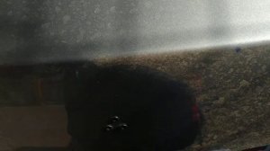 Демонтаж и установка шильдика(звезды) Mercedes-benz w221