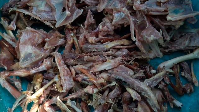 Лучшая Мясокостная подкормка для перепелов//Техасский перепел Хитрук Елена Украина
