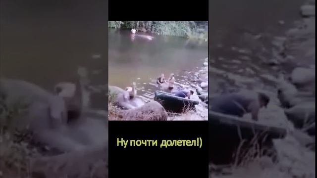 А ведь он почти долетел