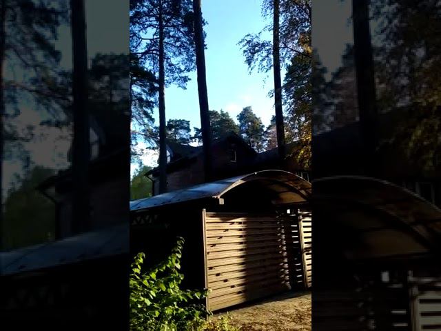 13 октября 2022 г. смотреть онлайн