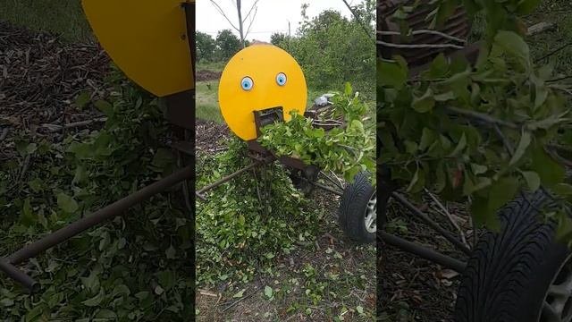 Bon Appétit, Веткоизмельчитель, Branch Shredder, Дробилка за клони 10