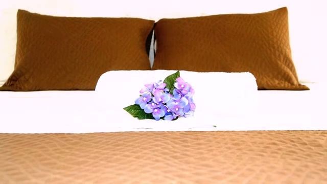 Hotel Maya del Carmen 3* Плайя-дель-Кармен, Мексика смотреть онлайн