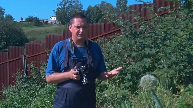 Бюджетная макросъёмка с использованием макро колец