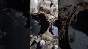 Канализация из двух бочек спустя 3,5 года
