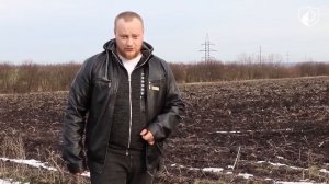 Как побороть амброзию на подсолнечнике. Препарат Фолио НЕРТУС