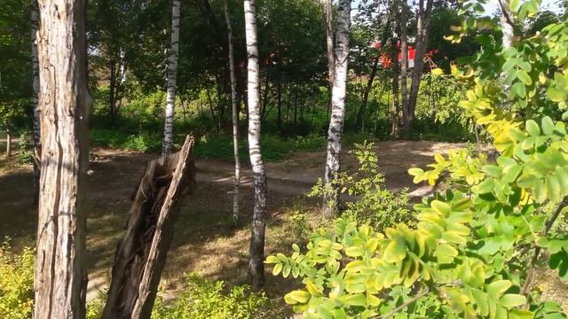 Строительство одноэтажного дома из газобетона. Проект Загорянка. Первый ряд и выбор газоблока. 0+