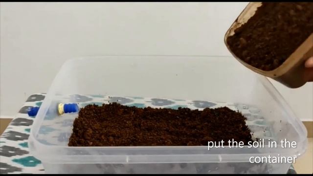 Java moss propagation(please read the description before you watch the video) смотреть онлайн