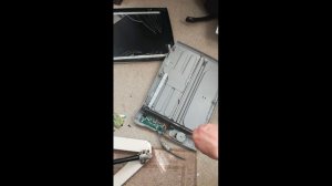 Сканер bear paw 1200 cu plus