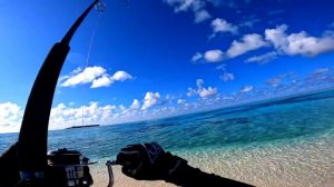 Amazing Fishing in Tropical Lagoon