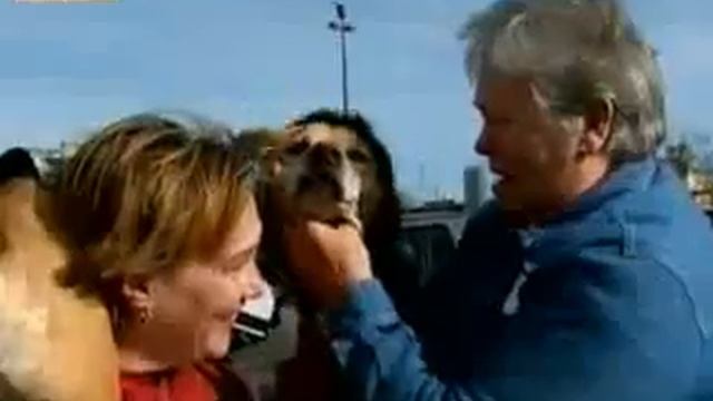 Обреченная на гибель дворняга стала любимицей Америки