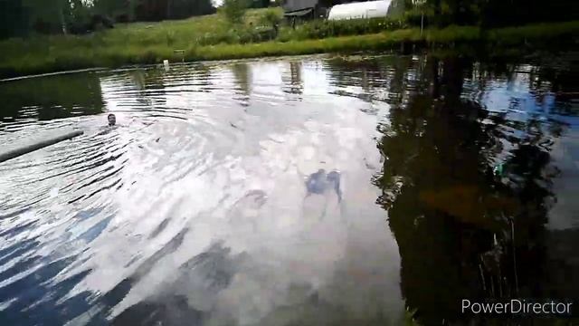 МИНИ - ОБЗОР НА ПРУД ИЗ ПРУДА | УТОНУЛ НА СЪЁМКАХ??? смотреть онлайн