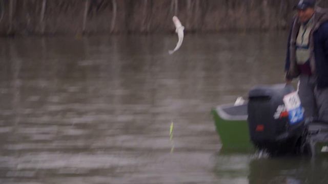 Мемориал Оскара Соболева 2019： Итоговый фильмМемориал Оскара Соболева 2019: Итоговый фильм смотреть онлайн