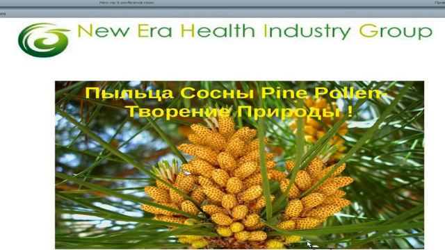 Пестов 17 ноября 2015 смотреть онлайн