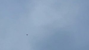 Сапсан атакует